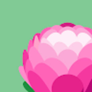 Meet your Posher, Neveah